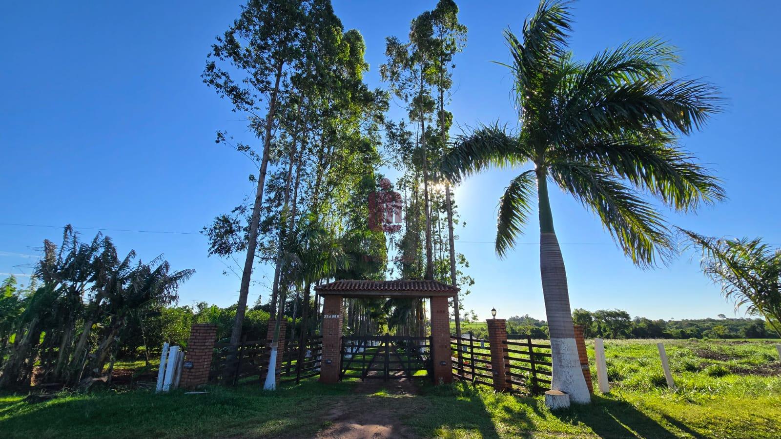 CHÁCARA - ÁREA RURAL - VILA VITORASSI  - SANTA TEREZINHA DE IT...