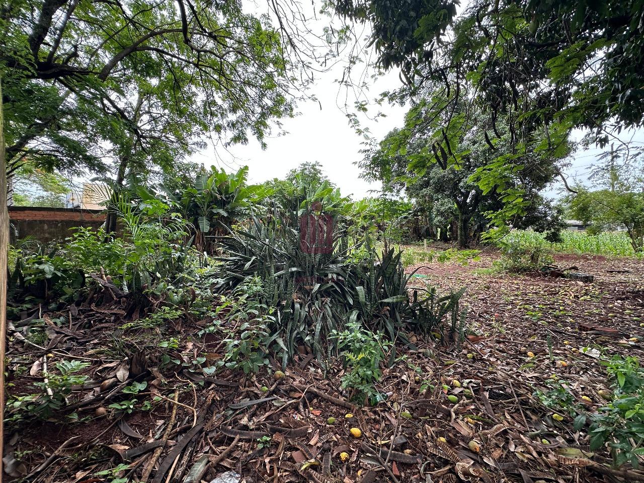 TERRENO - BEVERLY FALLS PARK