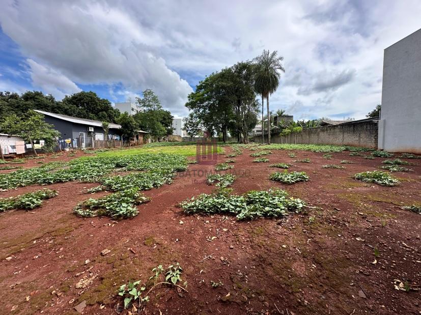 TERRENO RUA ANTONIO RAPOSO - CENTRO