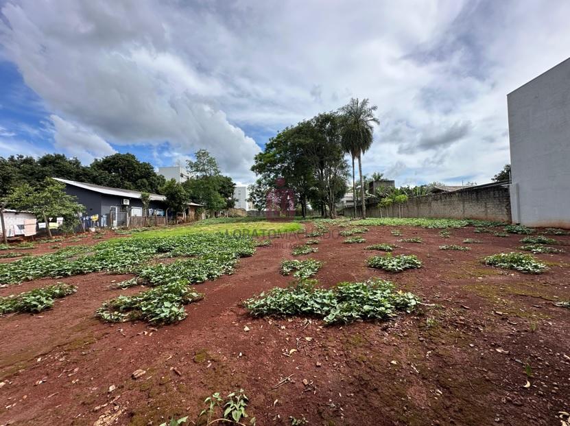 TERRENO RUA ANTONIO RAPOSO - CENTRO