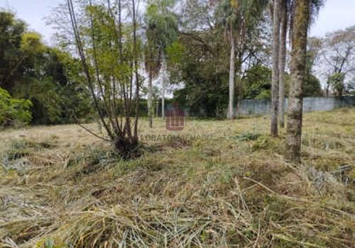 TERRENO - AVENIDA DAS CATARATAS COM A RUA FRANCISCO FOGAÇA