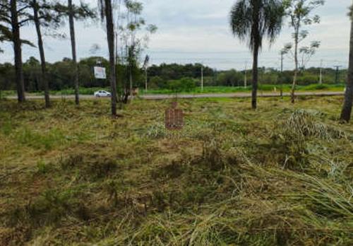 TERRENO - AVENIDA DAS CATARATAS COM A RUA FRANCISCO FOGAÇA