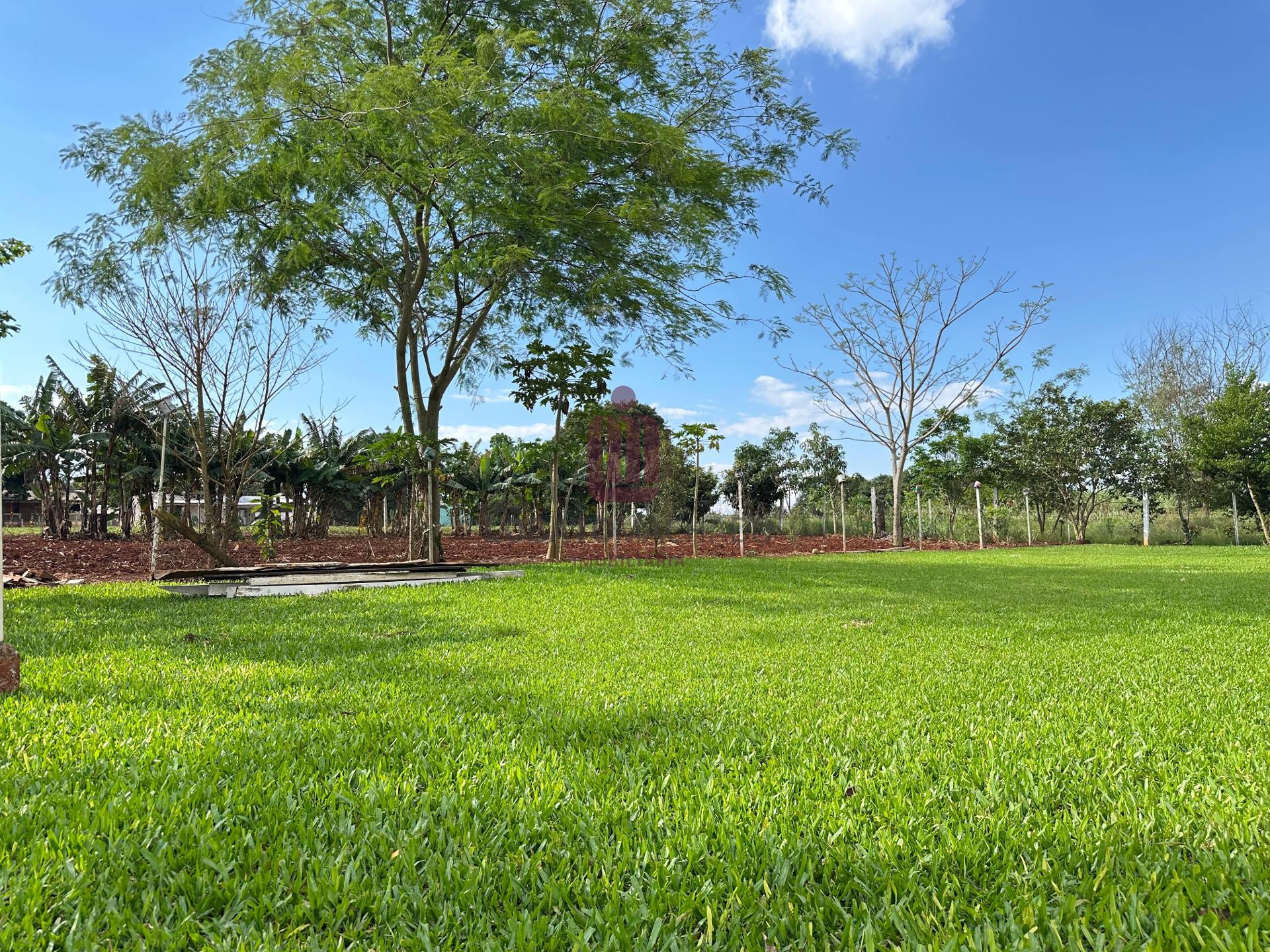 CHÁCARA - SANTA TEREZINHA DE ITAIPU