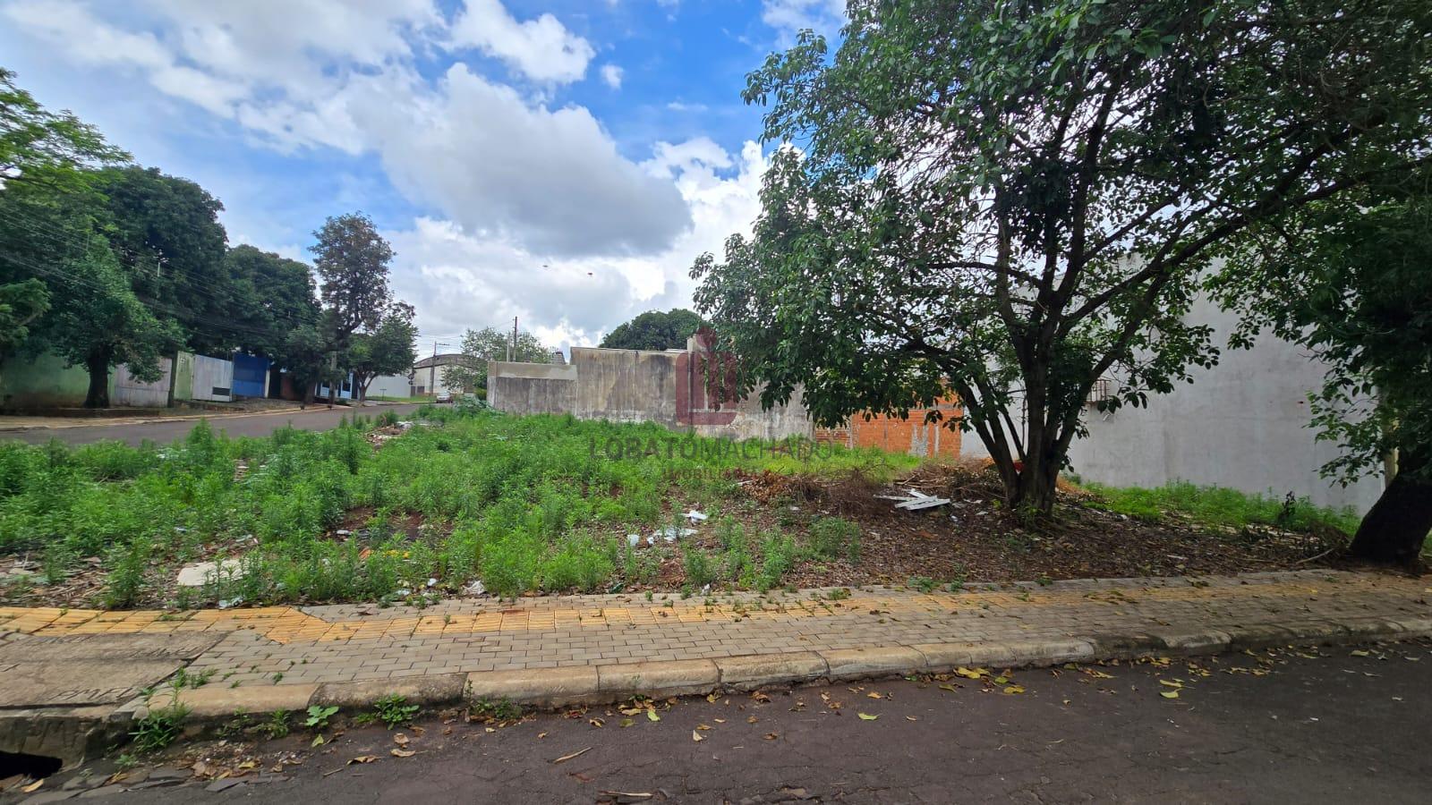 TERRENO - PARQUE IMPERATRIZ