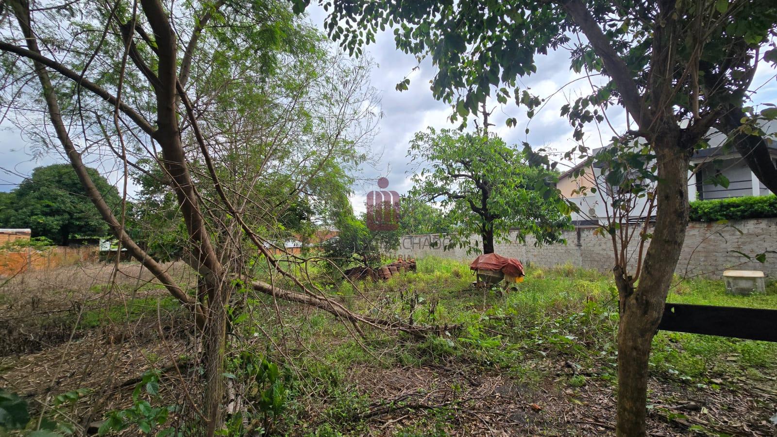 TERRENO - PARQUE IMPERATRIZ
