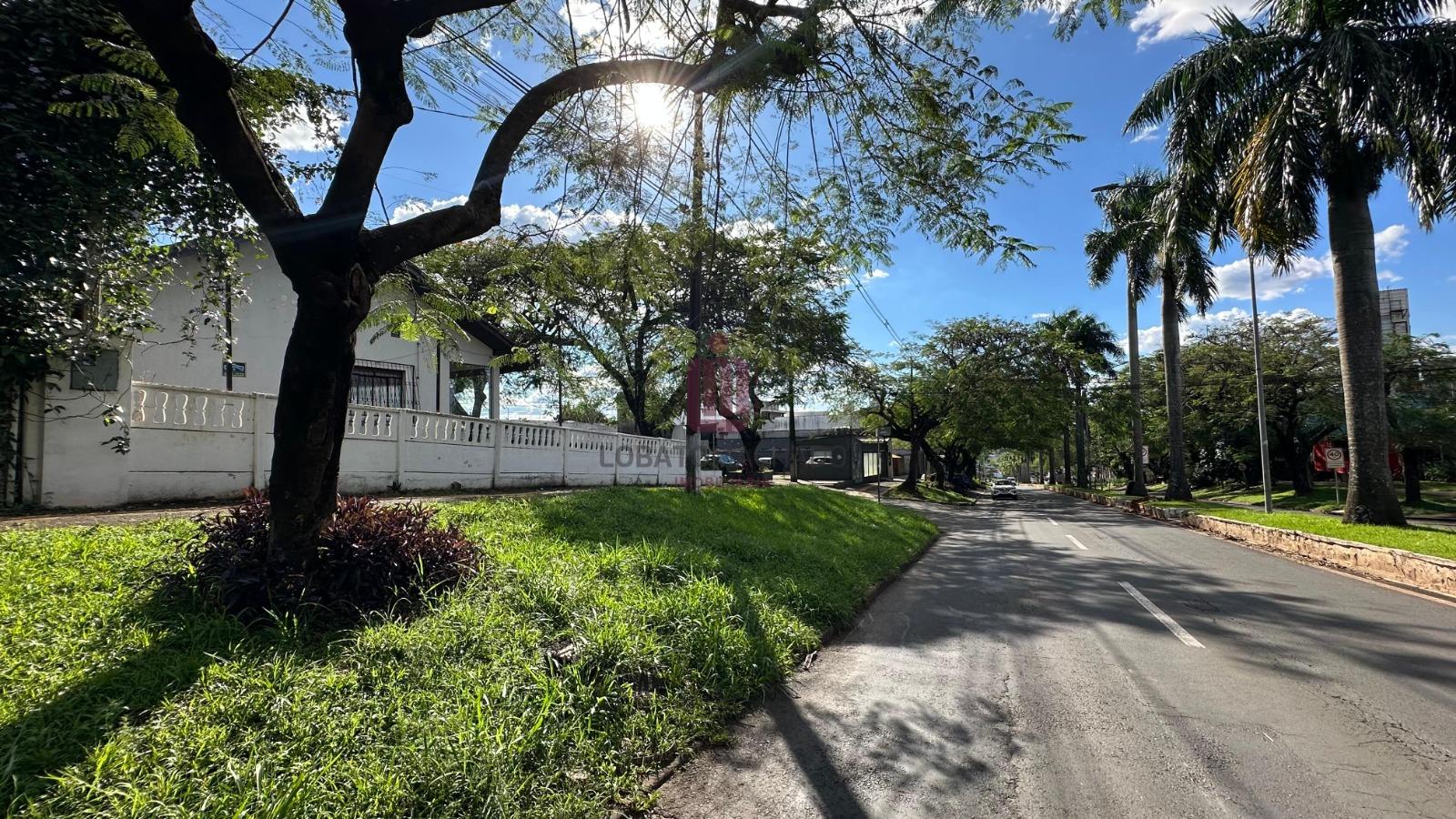SALA COMERCIAL - AVENIDA DAS CATARATAS - VILA YOLANDA