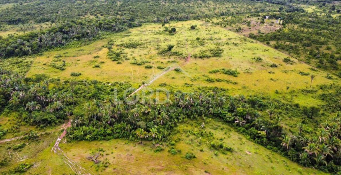 Fazenda à venda em Agrovila com 97ha , próxima a Serra de São ...