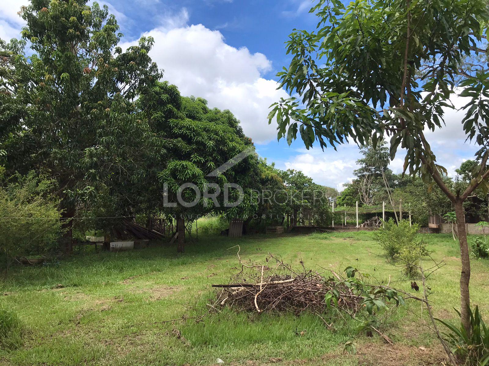 Fazenda à venda com 93ha localizada a 2km de Santo Antônio do ...