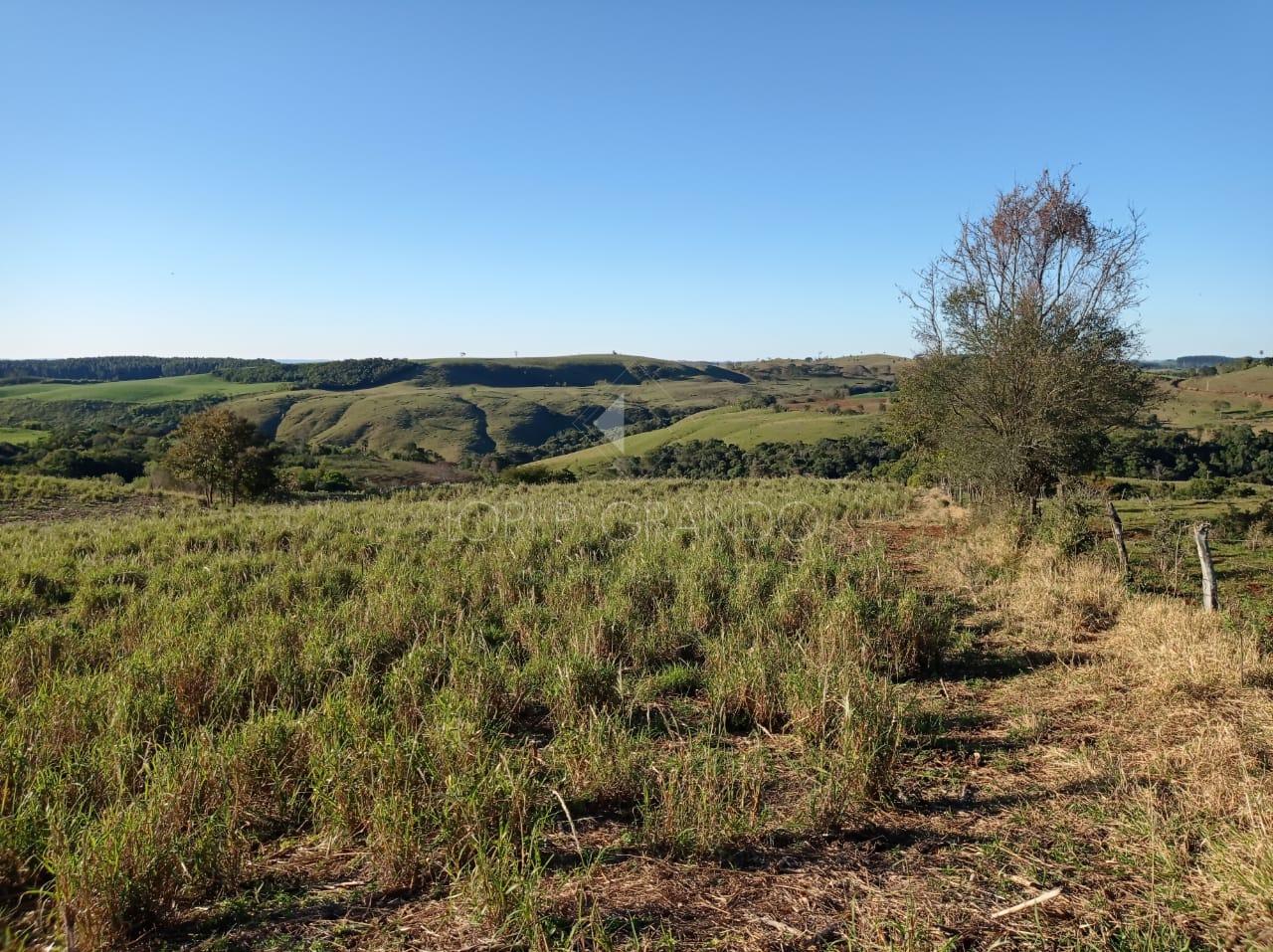 Imvel rural  venda, Passo Liso, LARANJEIRAS DO SUL - PR