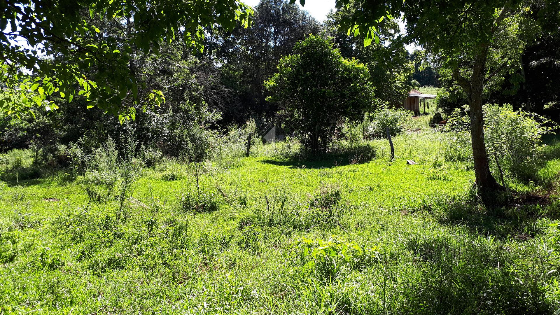 Lori P. Grando Corretor em Laranjeiras do Sul PR