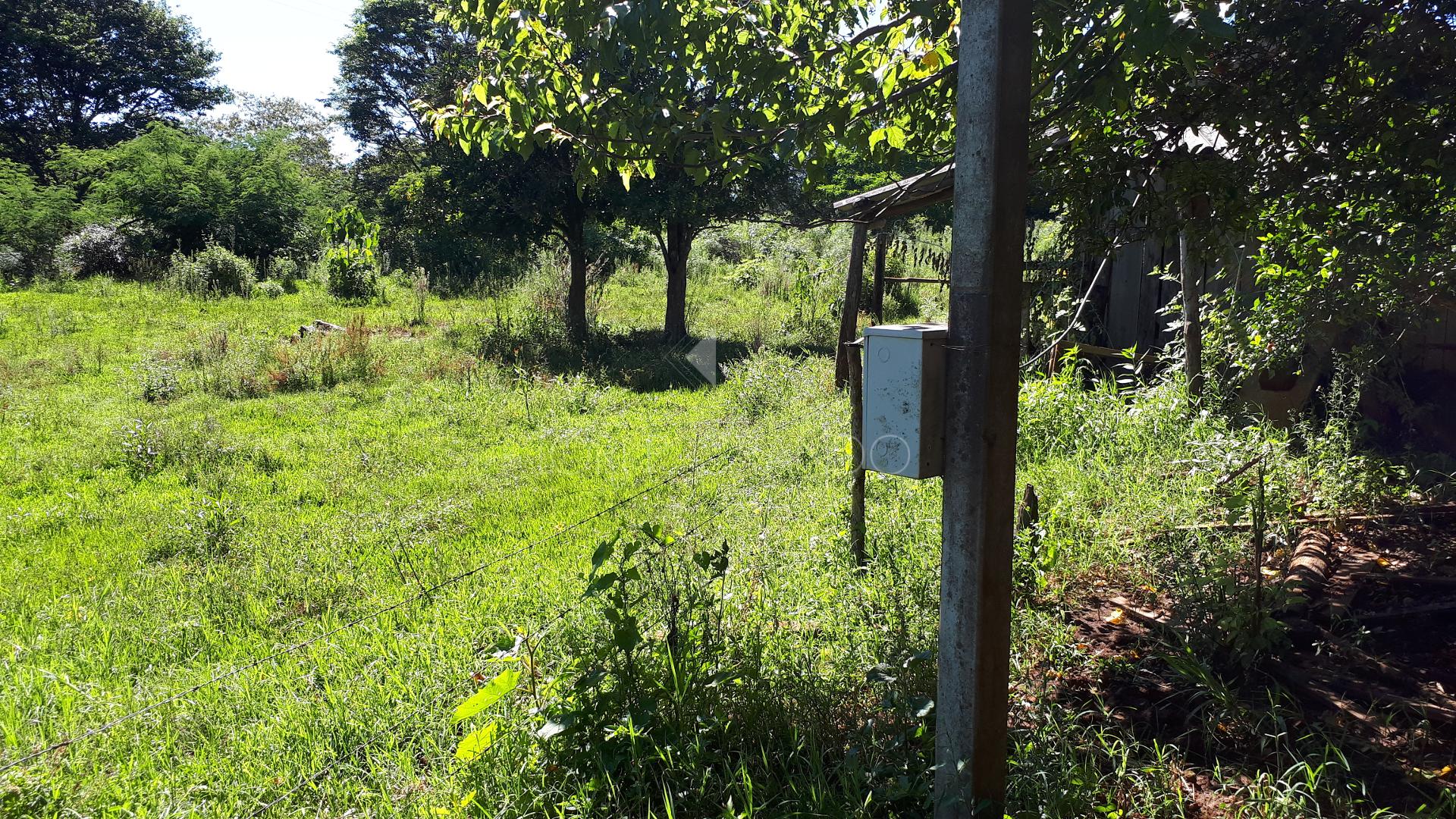 Lori P. Grando Corretor em Laranjeiras do Sul PR