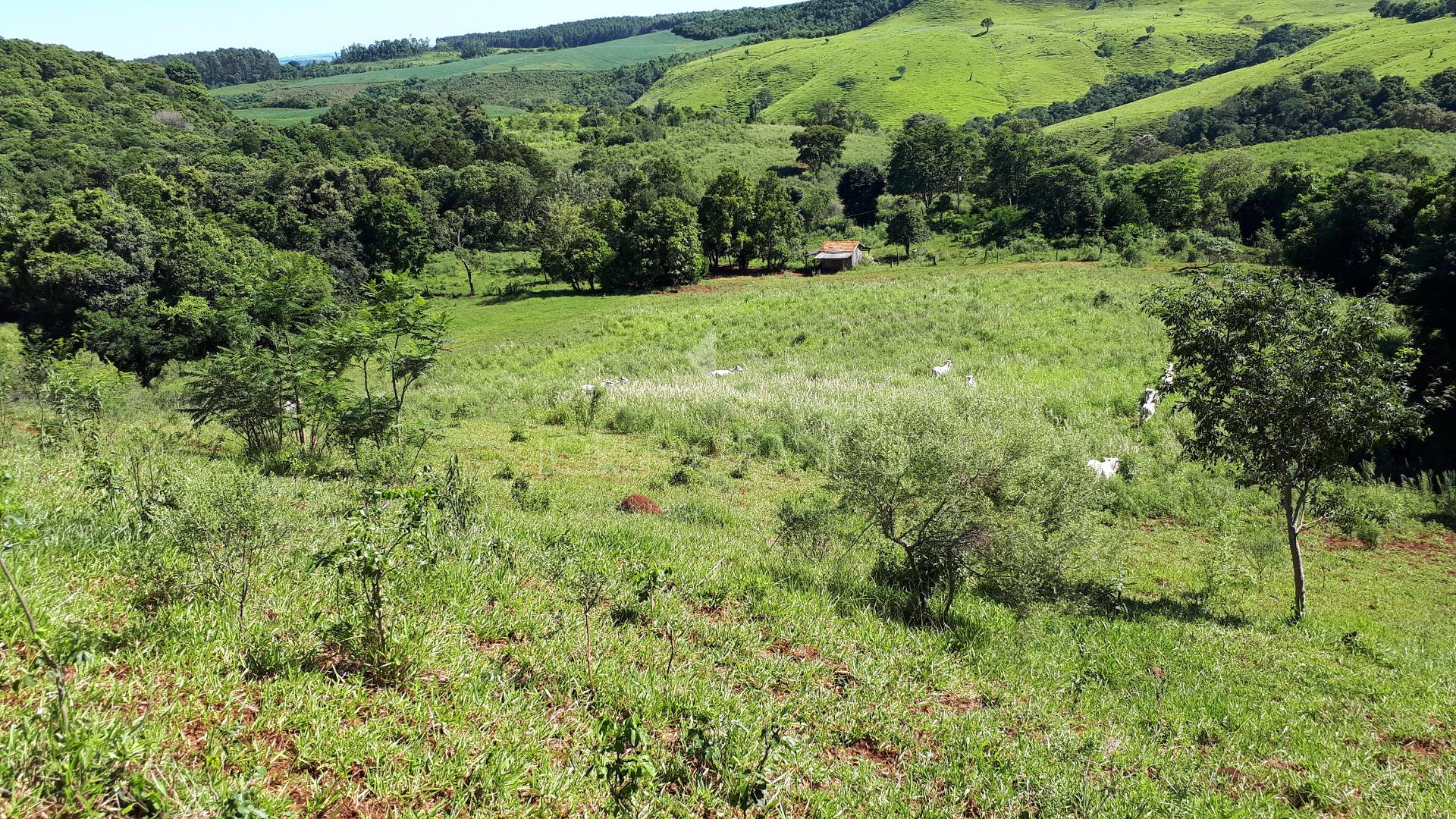 Lori P. Grando Corretor em Laranjeiras do Sul PR