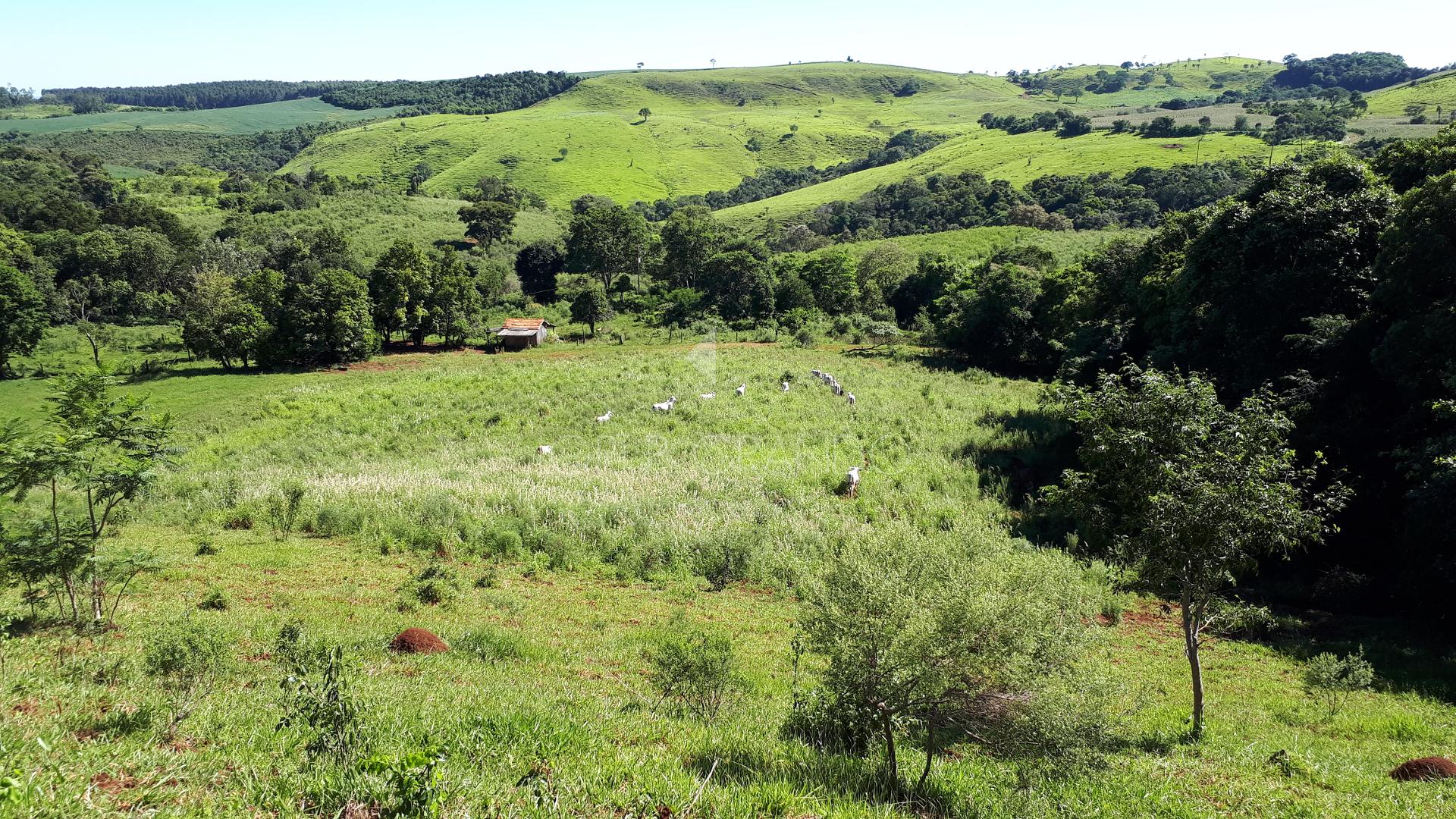 Lori P. Grando Corretor em Laranjeiras do Sul PR