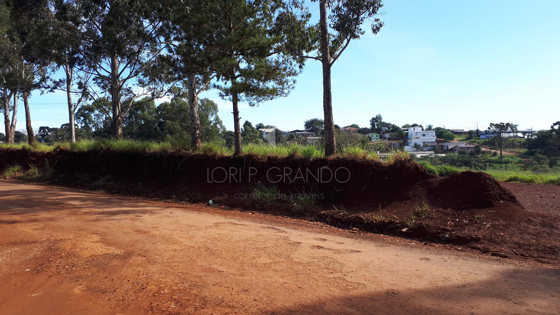Lori P. Grando Corretor em Laranjeiras do Sul PR