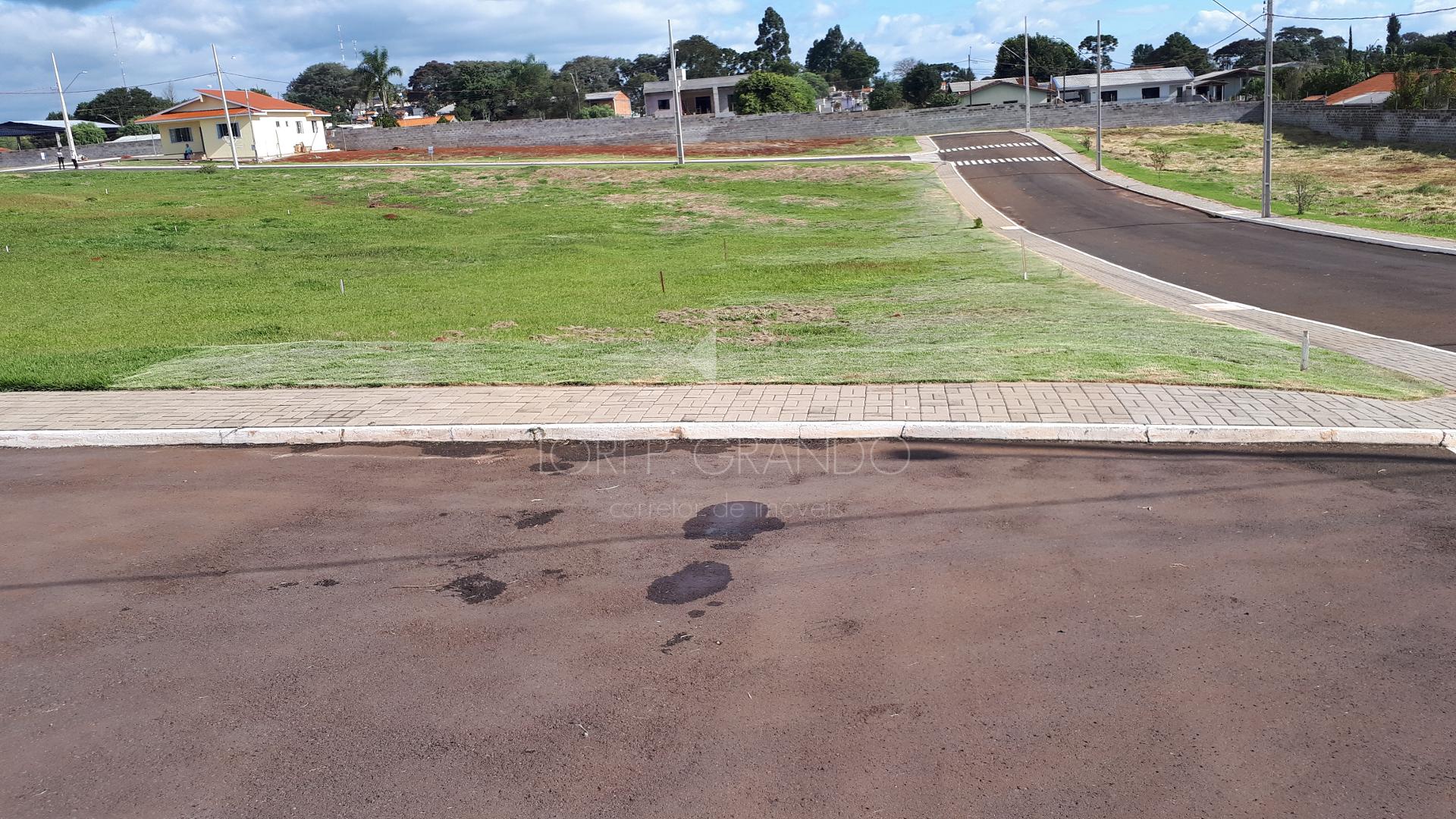 Lori P. Grando Corretor em Laranjeiras do Sul PR