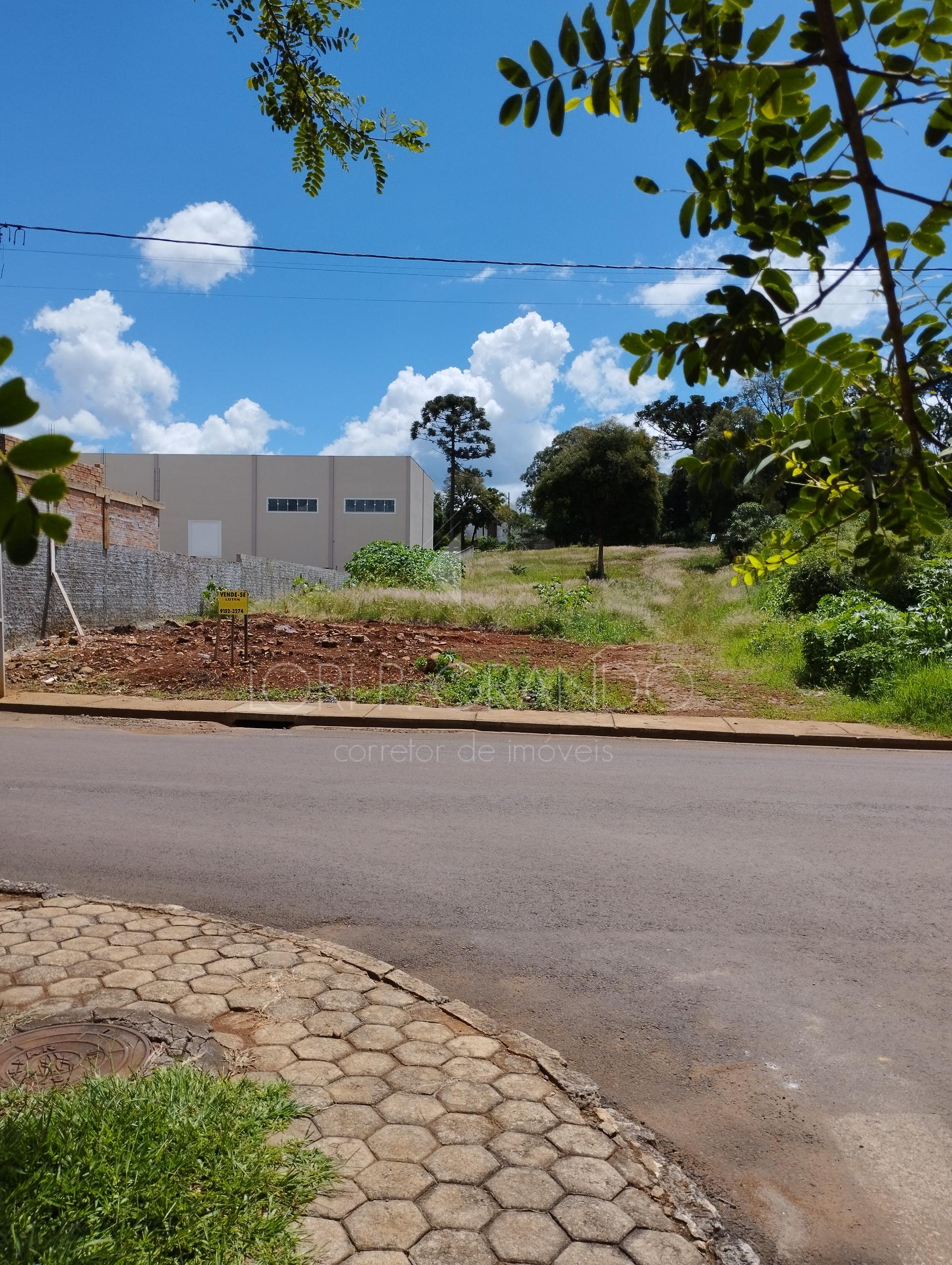 Lori P. Grando Corretor em Laranjeiras do Sul PR