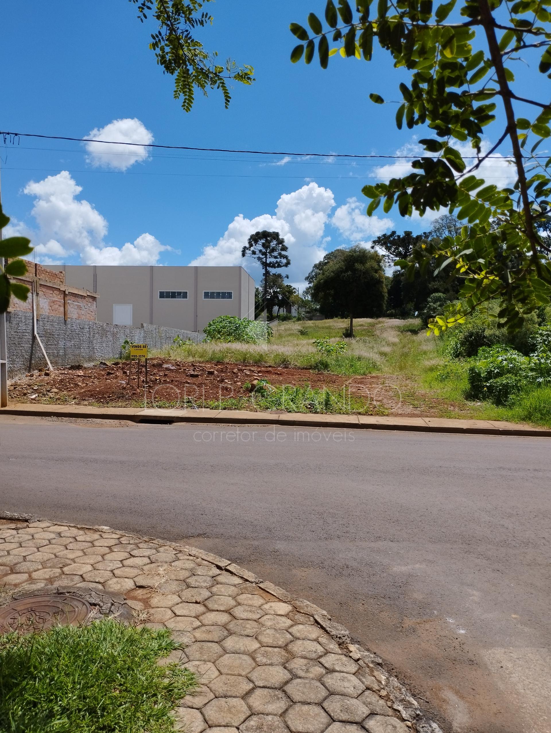 Lori P. Grando Corretor em Laranjeiras do Sul PR