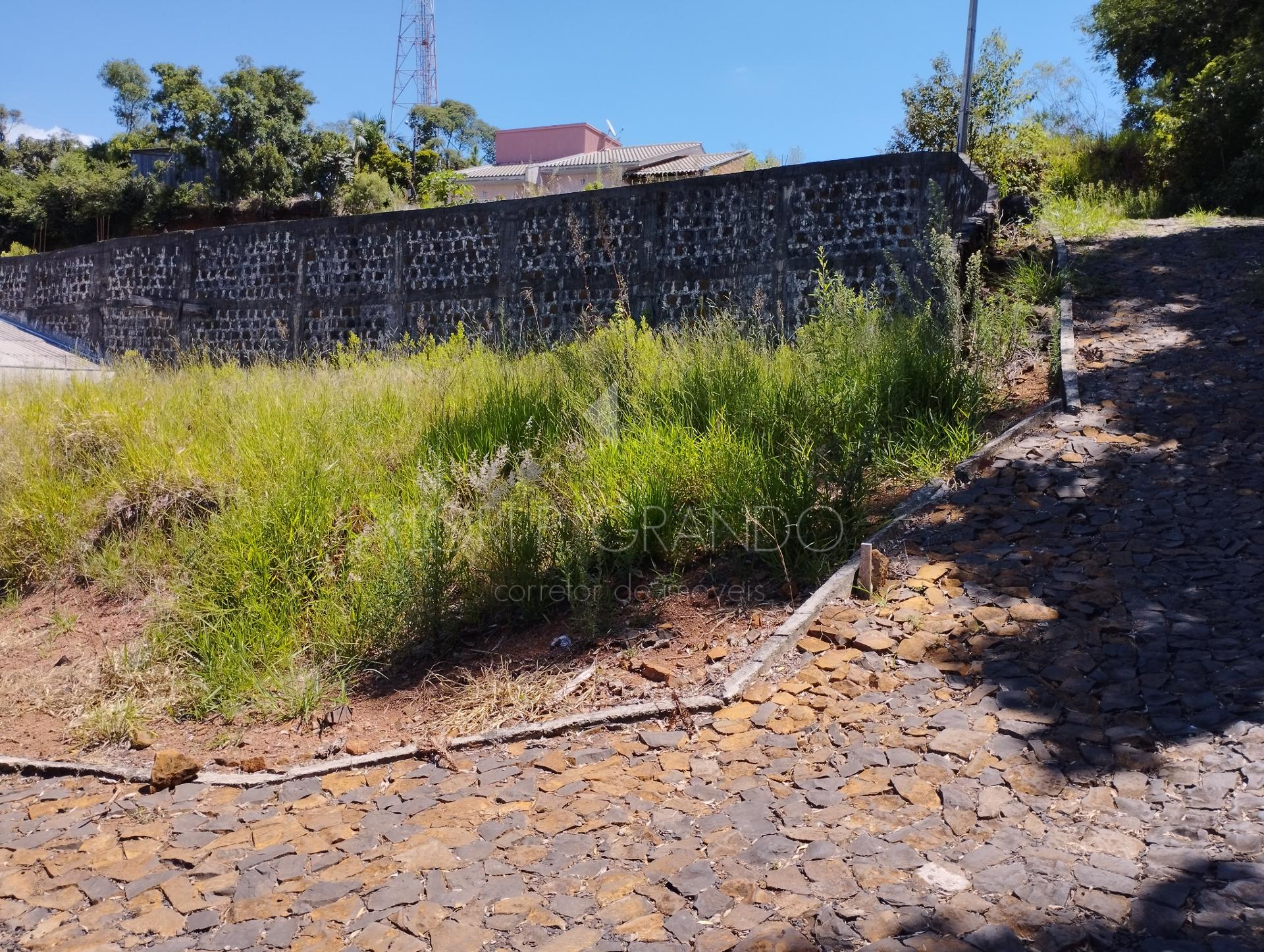 Lori P. Grando Corretor em Laranjeiras do Sul PR