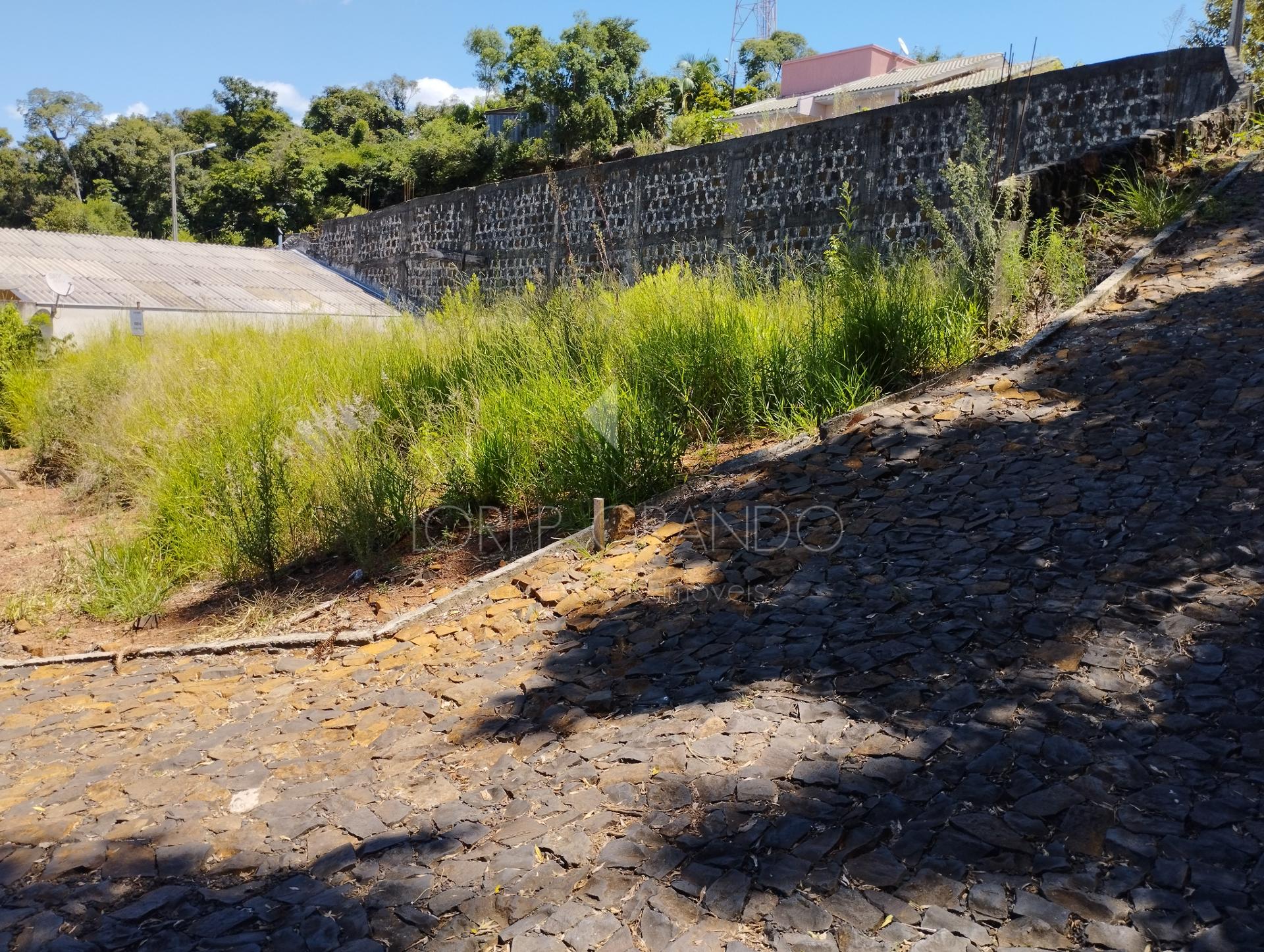 Lori P. Grando Corretor em Laranjeiras do Sul PR