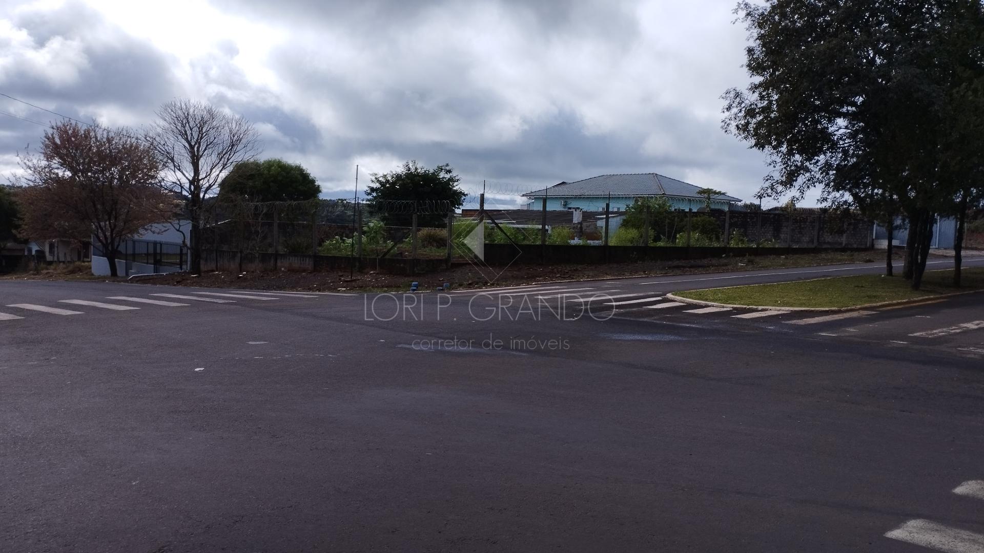 Lori P. Grando Corretor em Laranjeiras do Sul PR