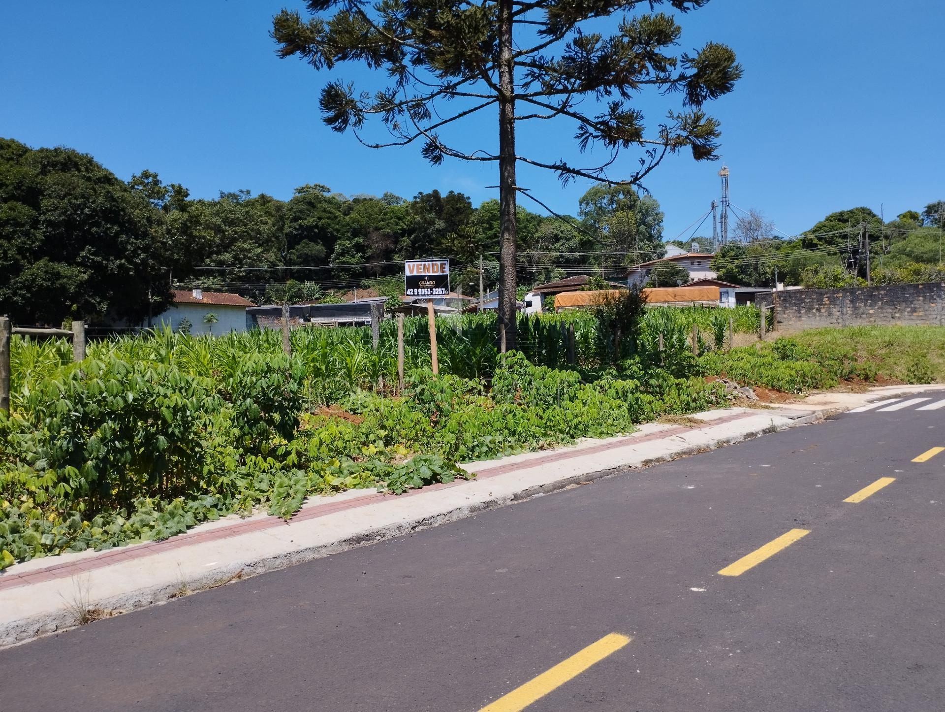 Lote  venda, Centro, LARANJEIRAS DO SUL - PR