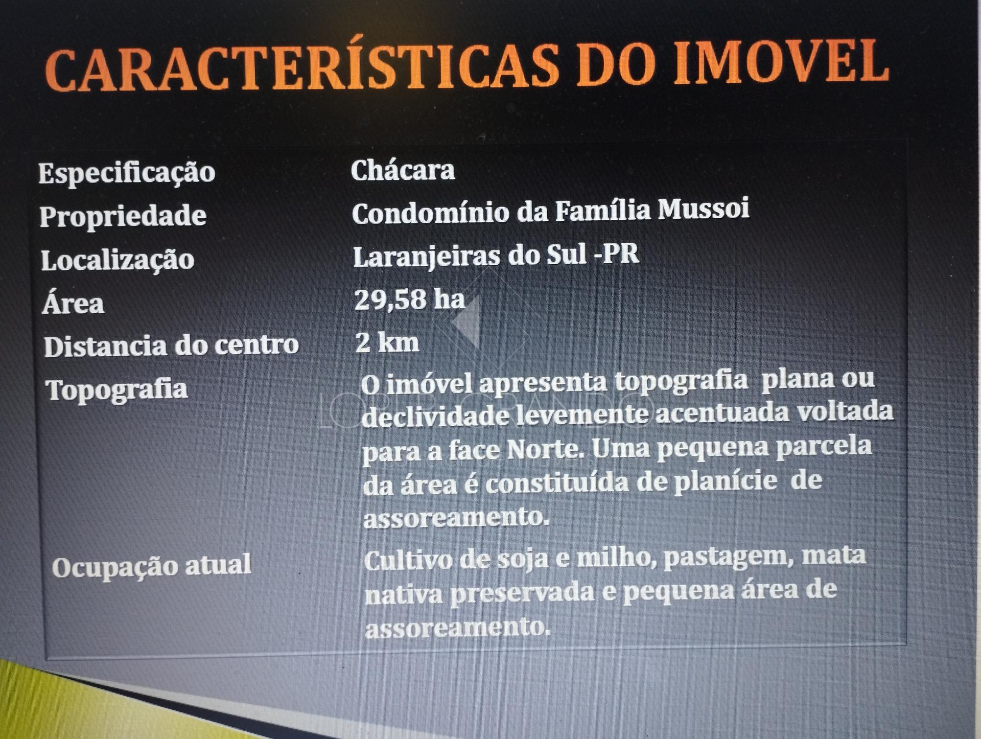 Lori P. Grando Corretor em Laranjeiras do Sul PR