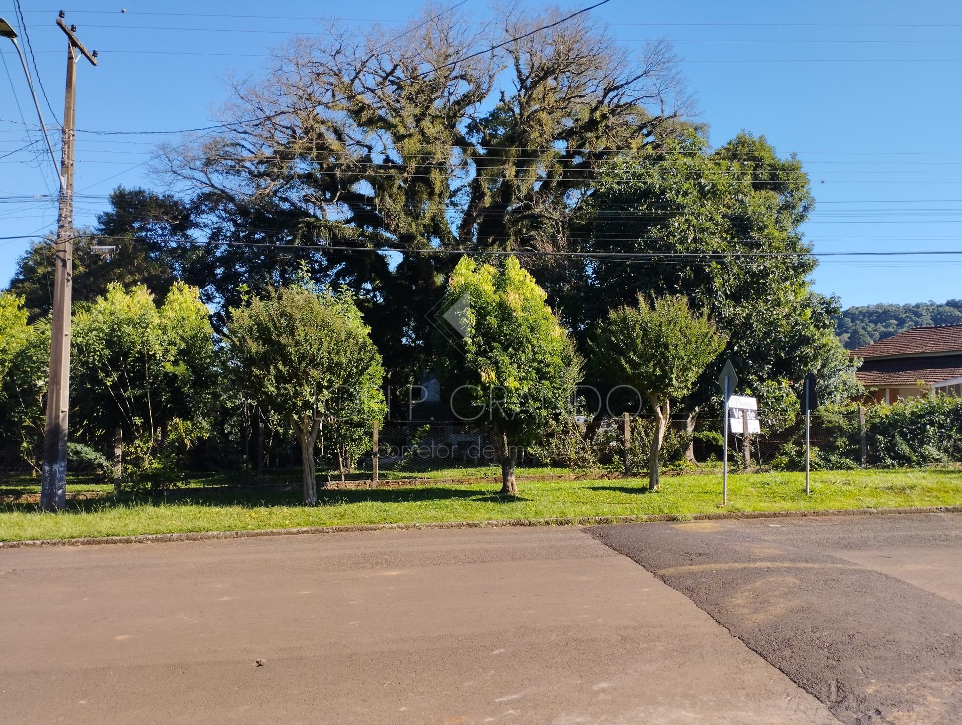 Lote  venda, gua Verde, LARANJEIRAS DO SUL - PR