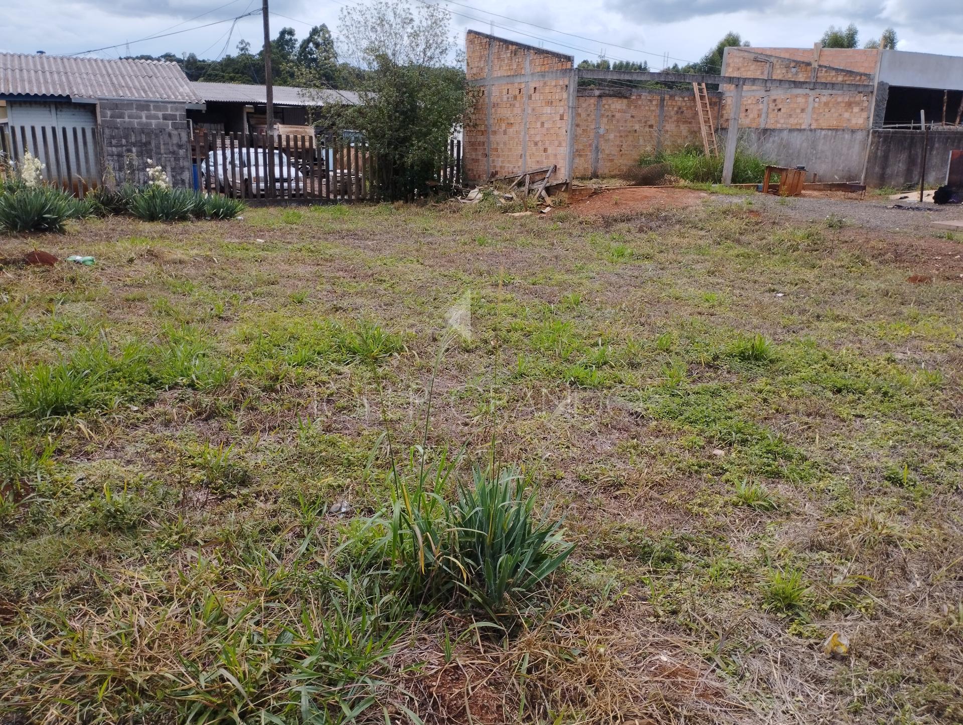 Lori P. Grando Corretor em Laranjeiras do Sul PR