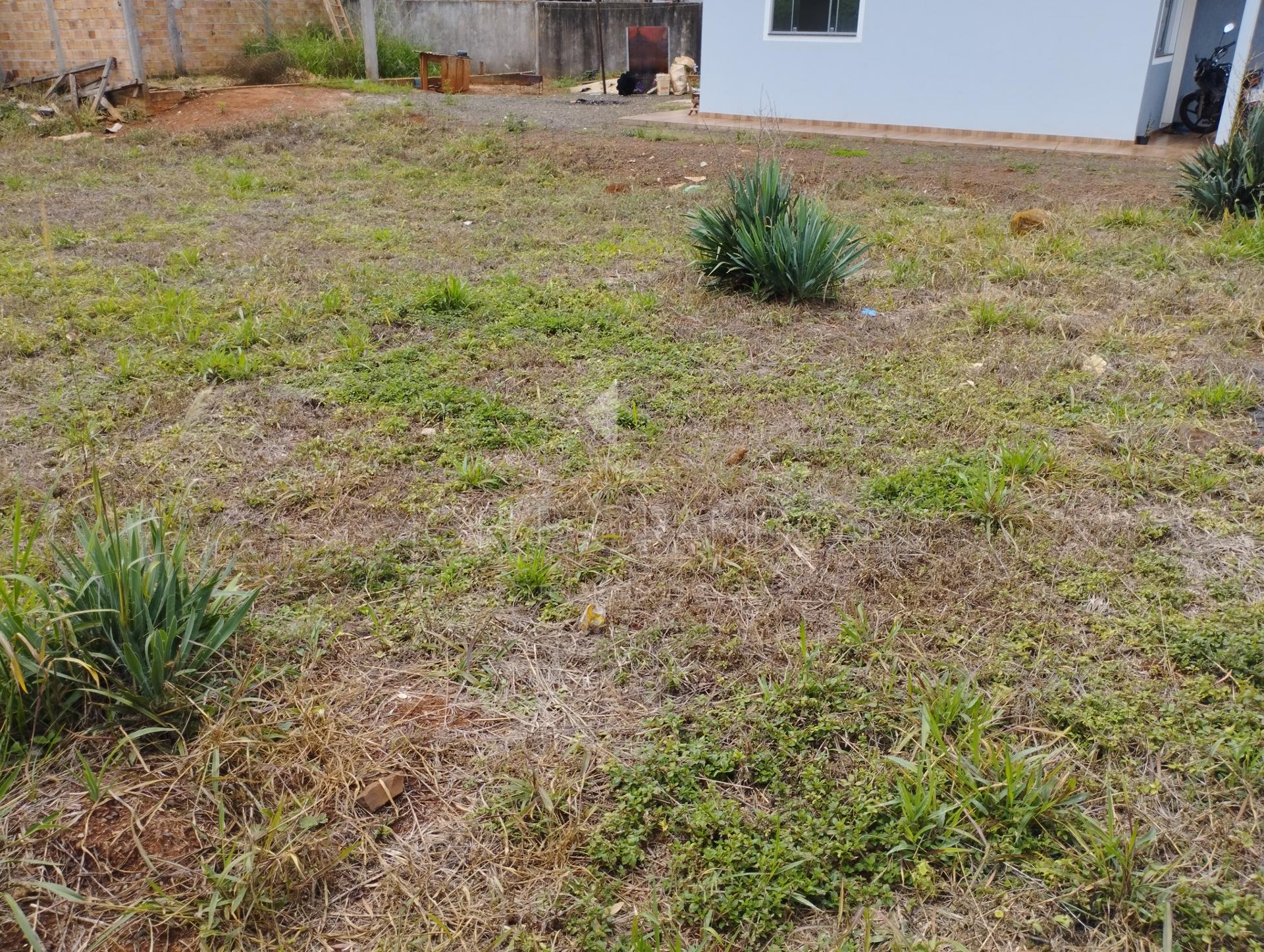Lori P. Grando Corretor em Laranjeiras do Sul PR