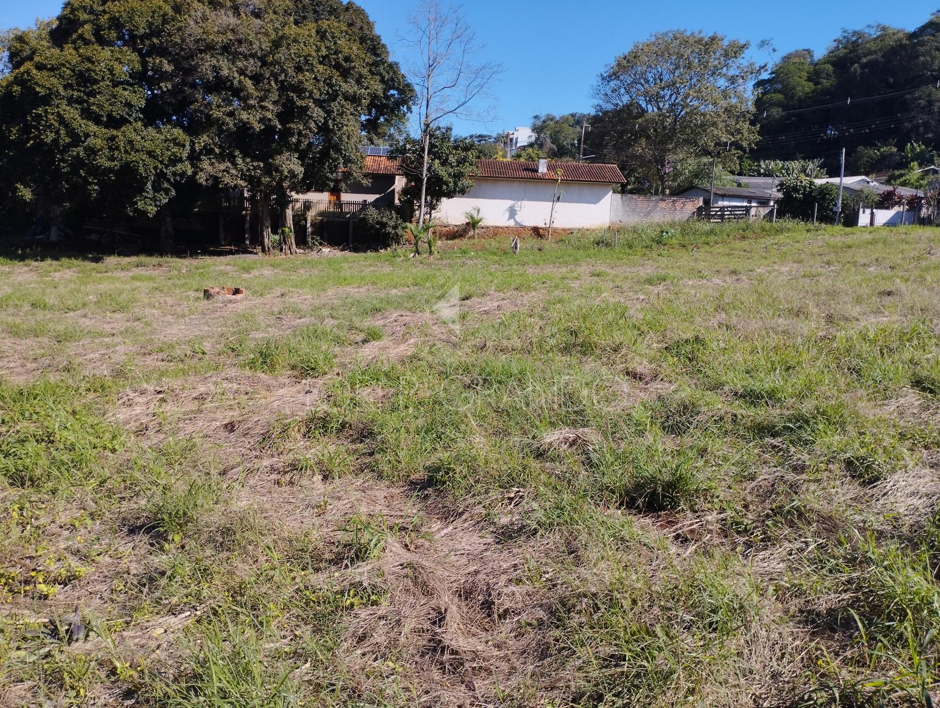 Lori P. Grando Corretor em Laranjeiras do Sul PR
