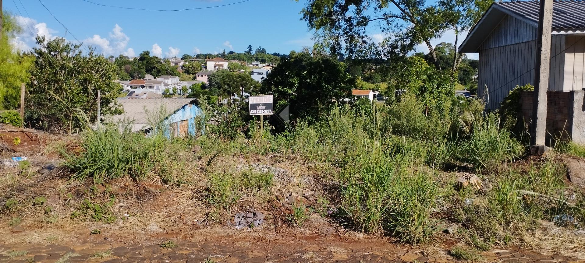 Lori P. Grando Corretor em Laranjeiras do Sul PR
