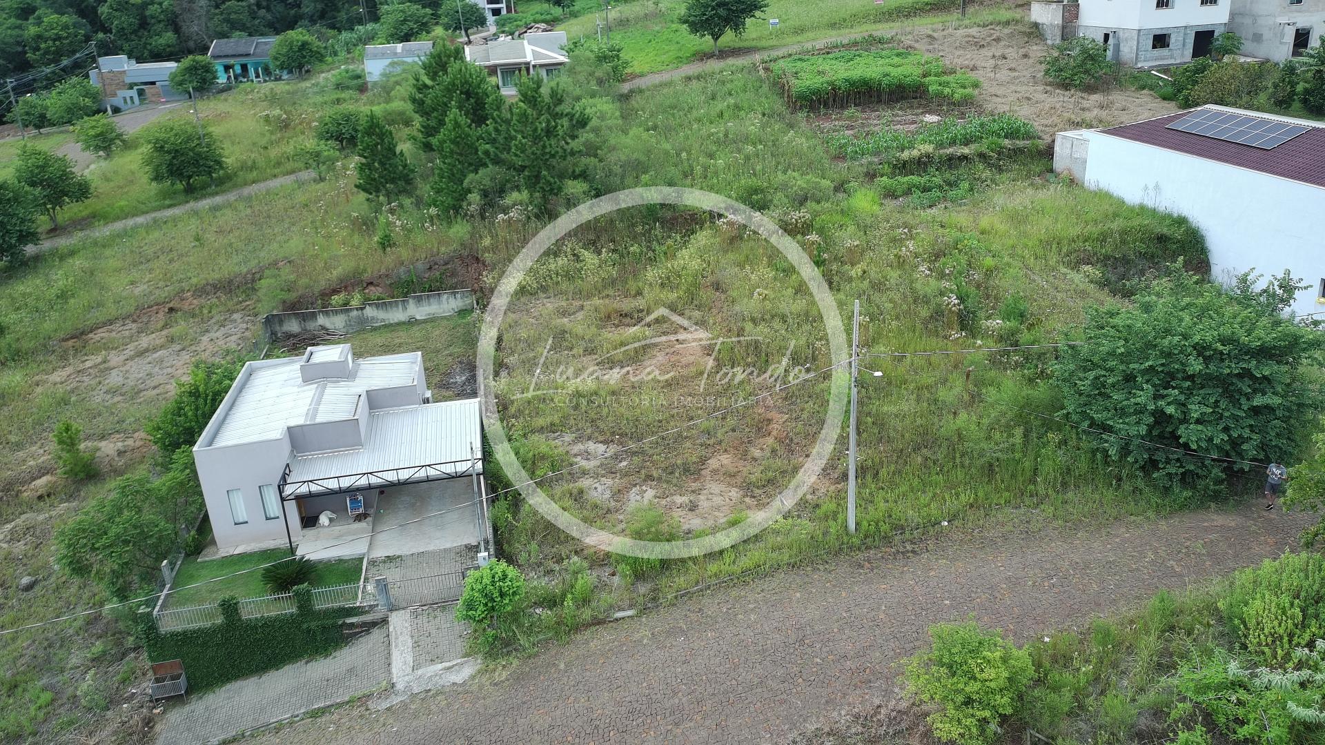 Lote  venda em Francisco Beltro
