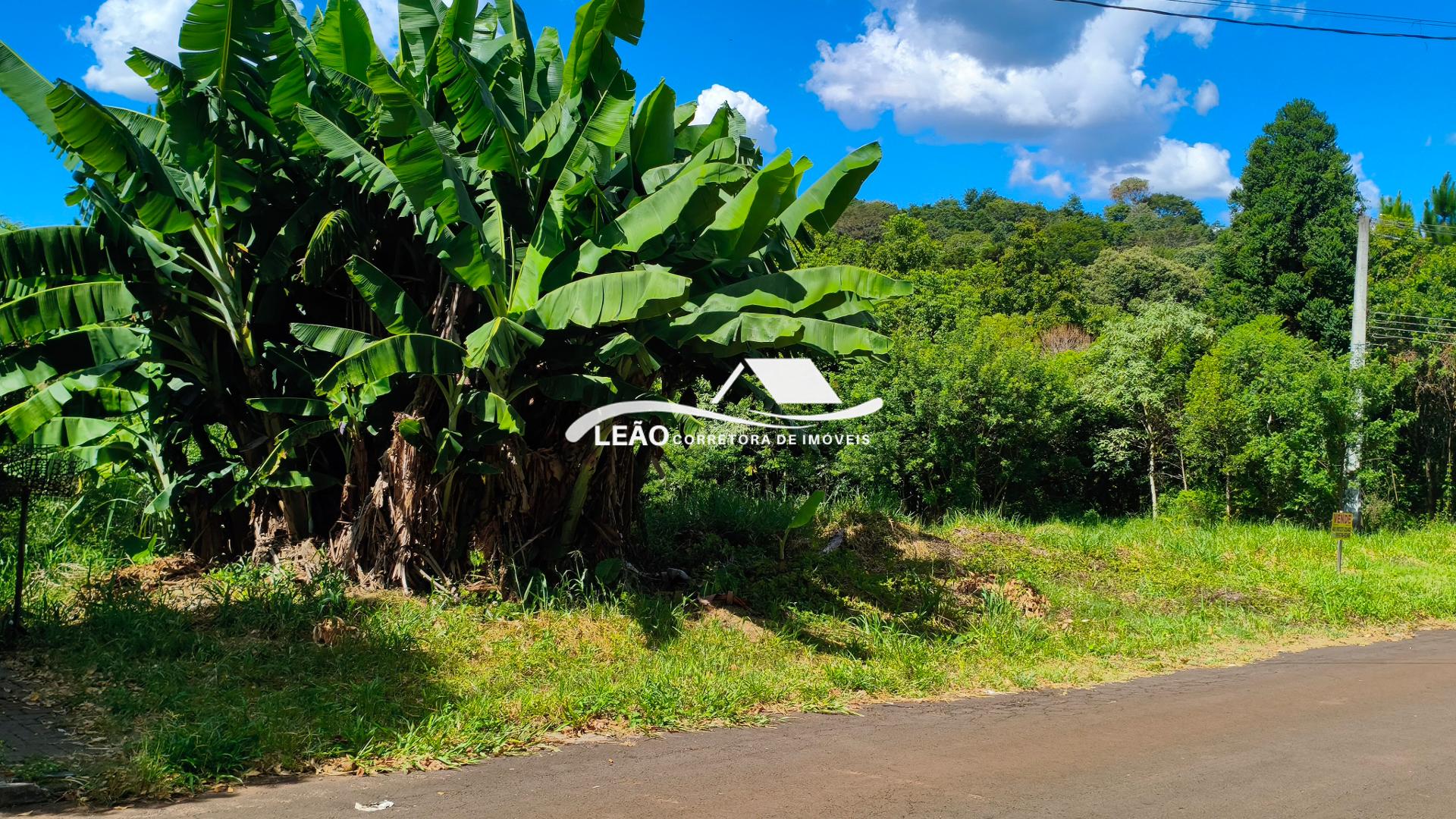 TERRENO DE ESQUINA E PLANO
