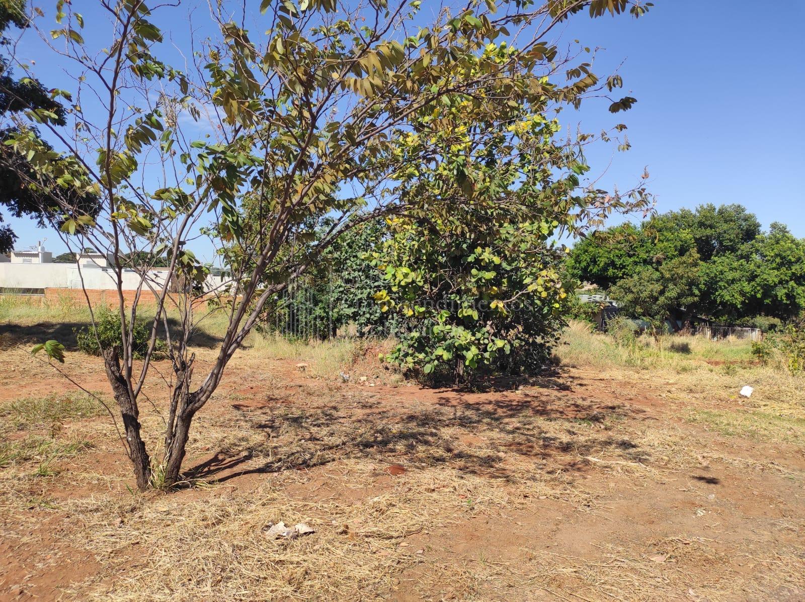 Terreno à venda, Vila Vilas Boas, CAMPO GRANDE - MS