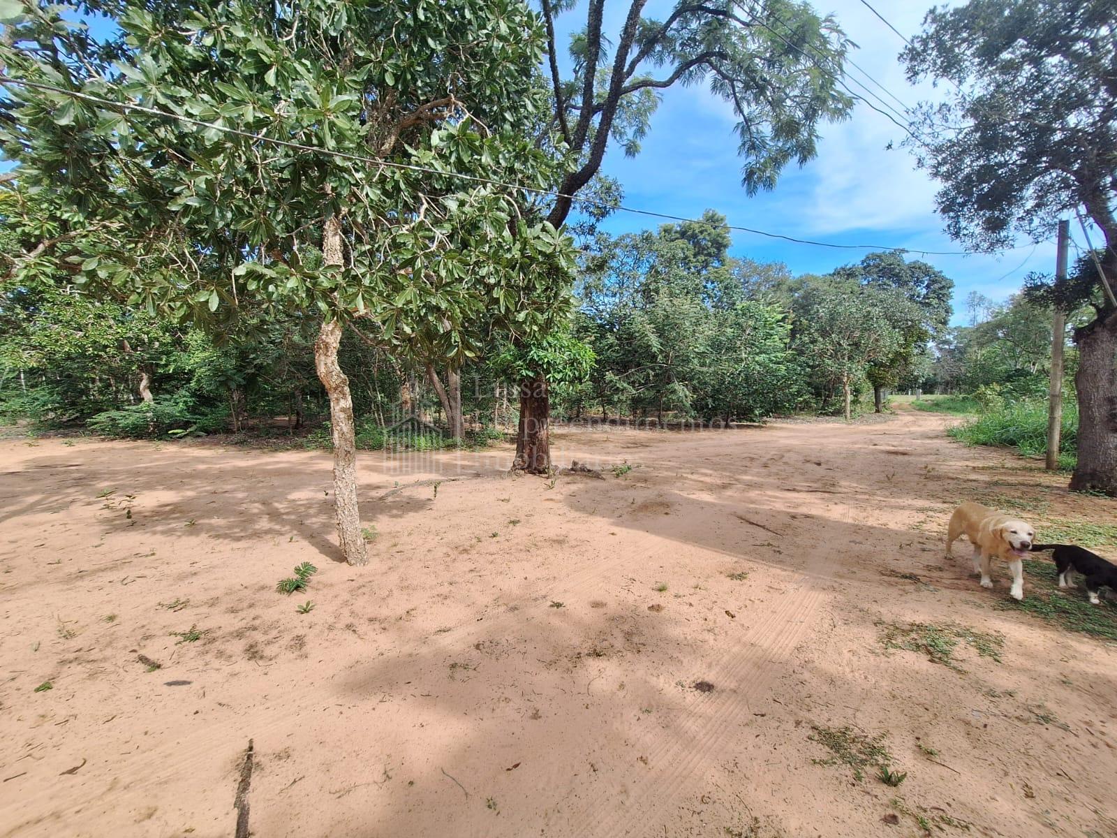 Chácara à venda, Sitio Santa Maria, CAMPO GRANDE - MS