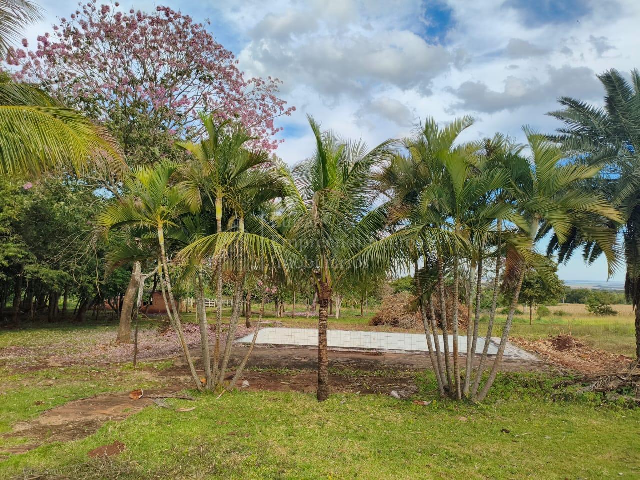 Chácara à venda Capão Seco, 11 hectares, ZONA RURAL, SIDROLAND...
