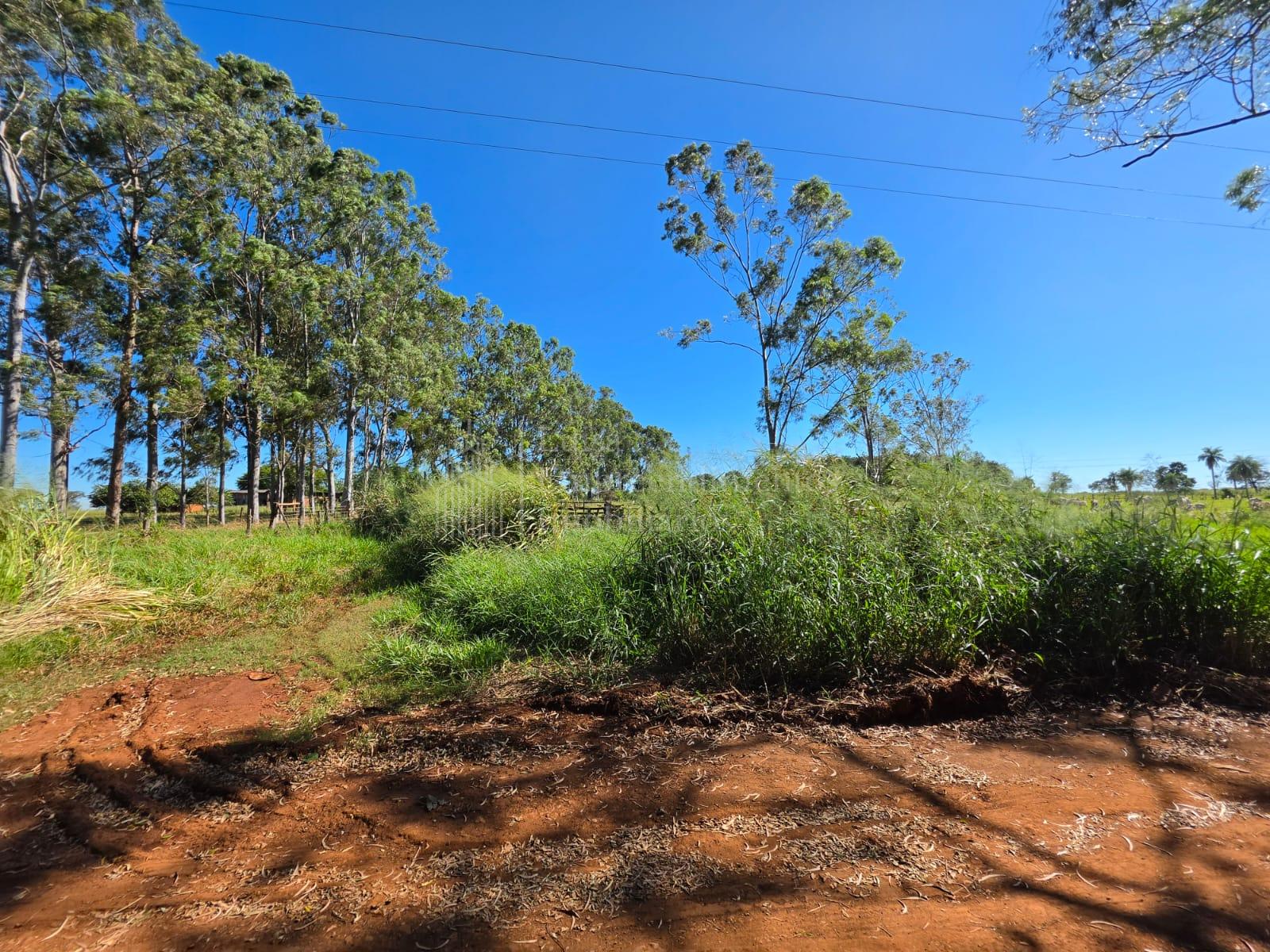 Fazenda à venda, 71 hectares, ZONA RURAL, CAMPO GRANDE - MS