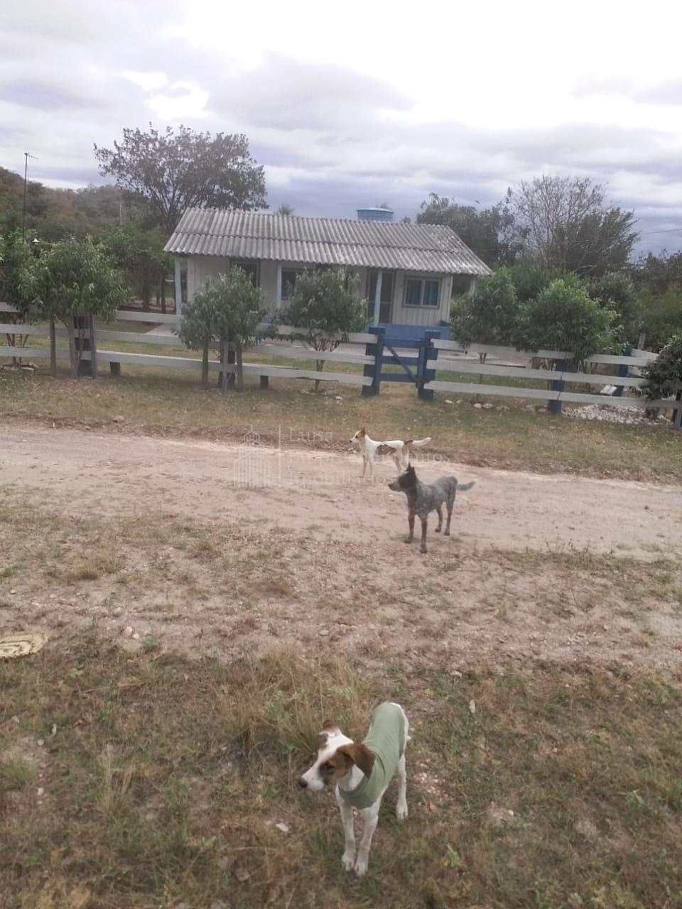 Fazenda à venda, ZONA RURAL, PORTO MURTINHO - MS