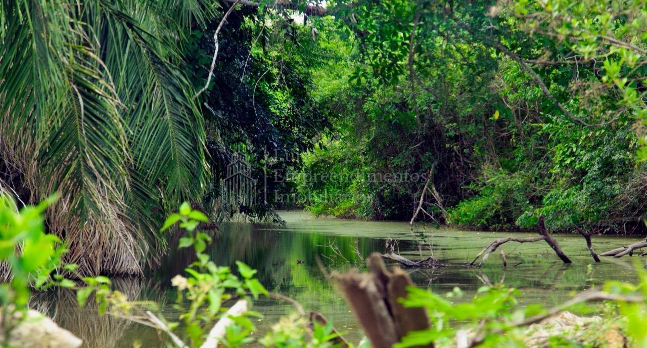 Chácara à venda, ZONA RURAL, BONITO - MS