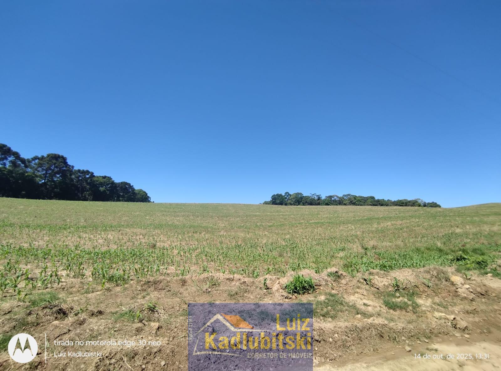 Terreno rural em Prudentópolis, medindo um total de 11 alqueires.