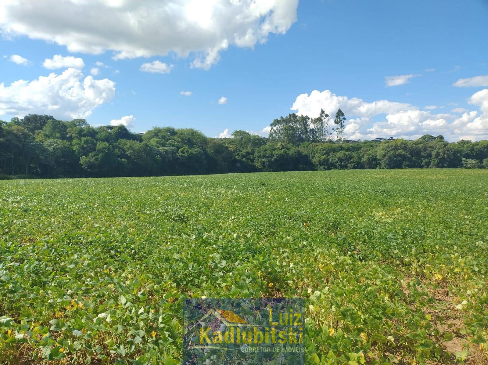 Terreno à venda na Barra Bonita,próximo a cachoeira e parque Estadual São João