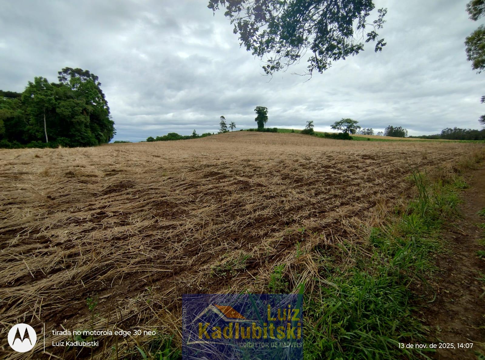 Terreno rural medindo 2,5 alqueires, localizado na Ponte Nova.