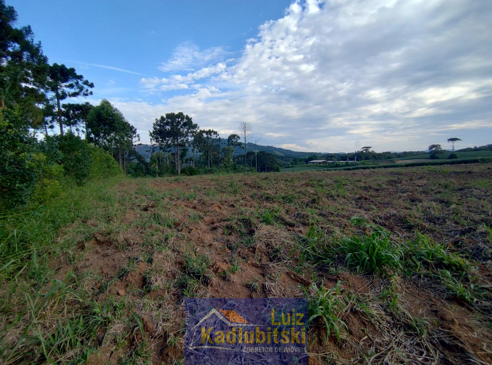 Terreno à venda, INTERIOR NA LOCALIDADE DO BRACATINGA, PRUDENTOPOLIS - PR