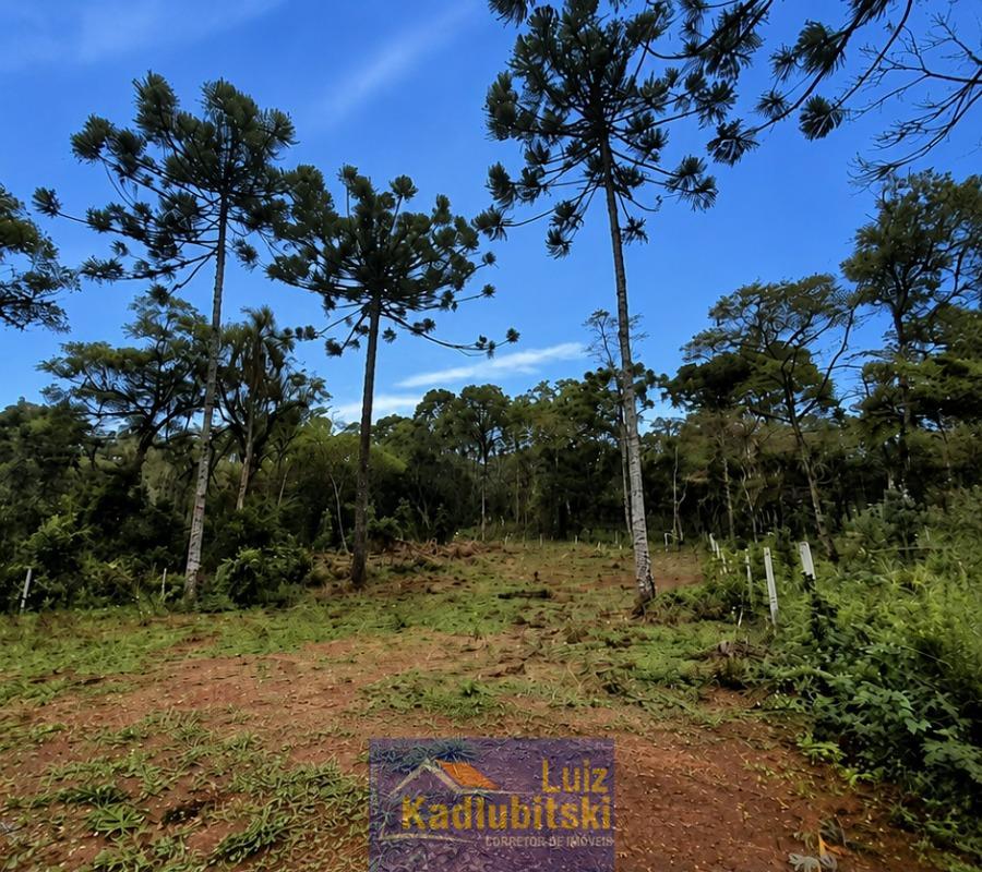 Terreno Rural, localizado na Linha Ronda, à apenas 04km do centro.