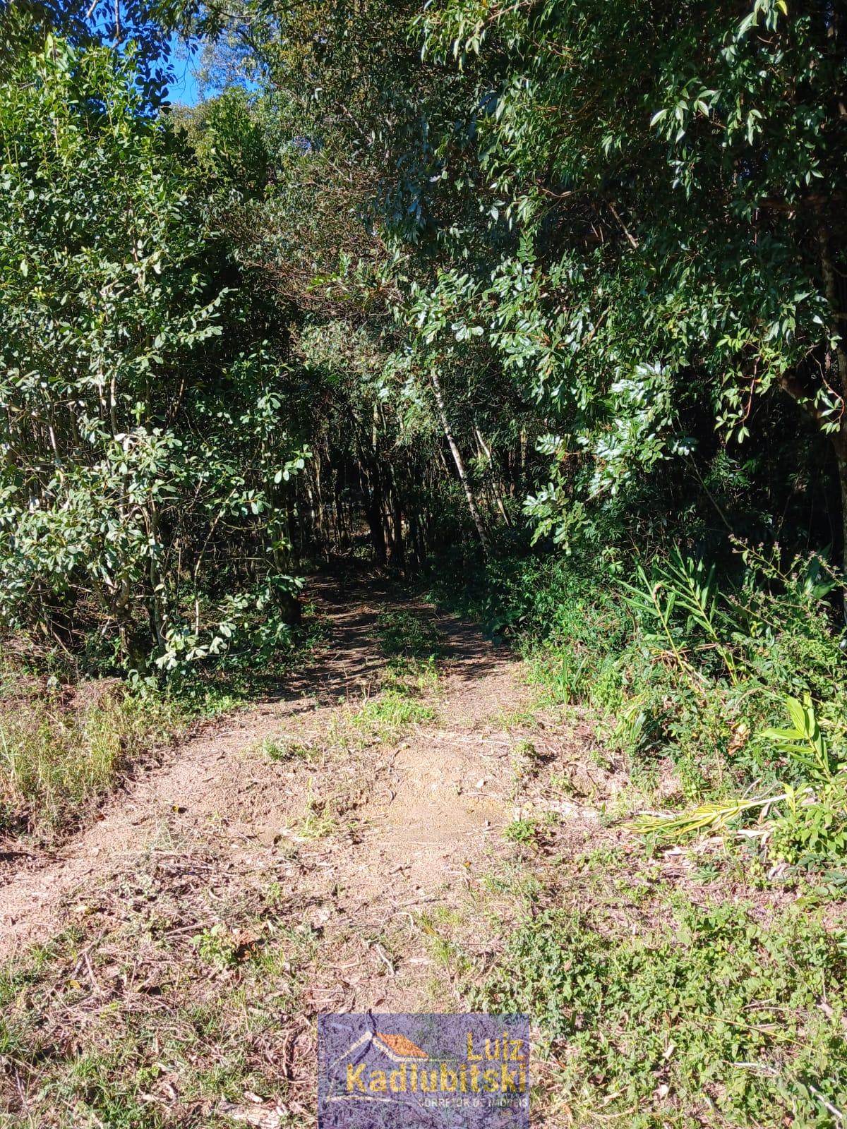 Terreno Rural, localizado na Linha XV de Novembro- Prudentópolis.