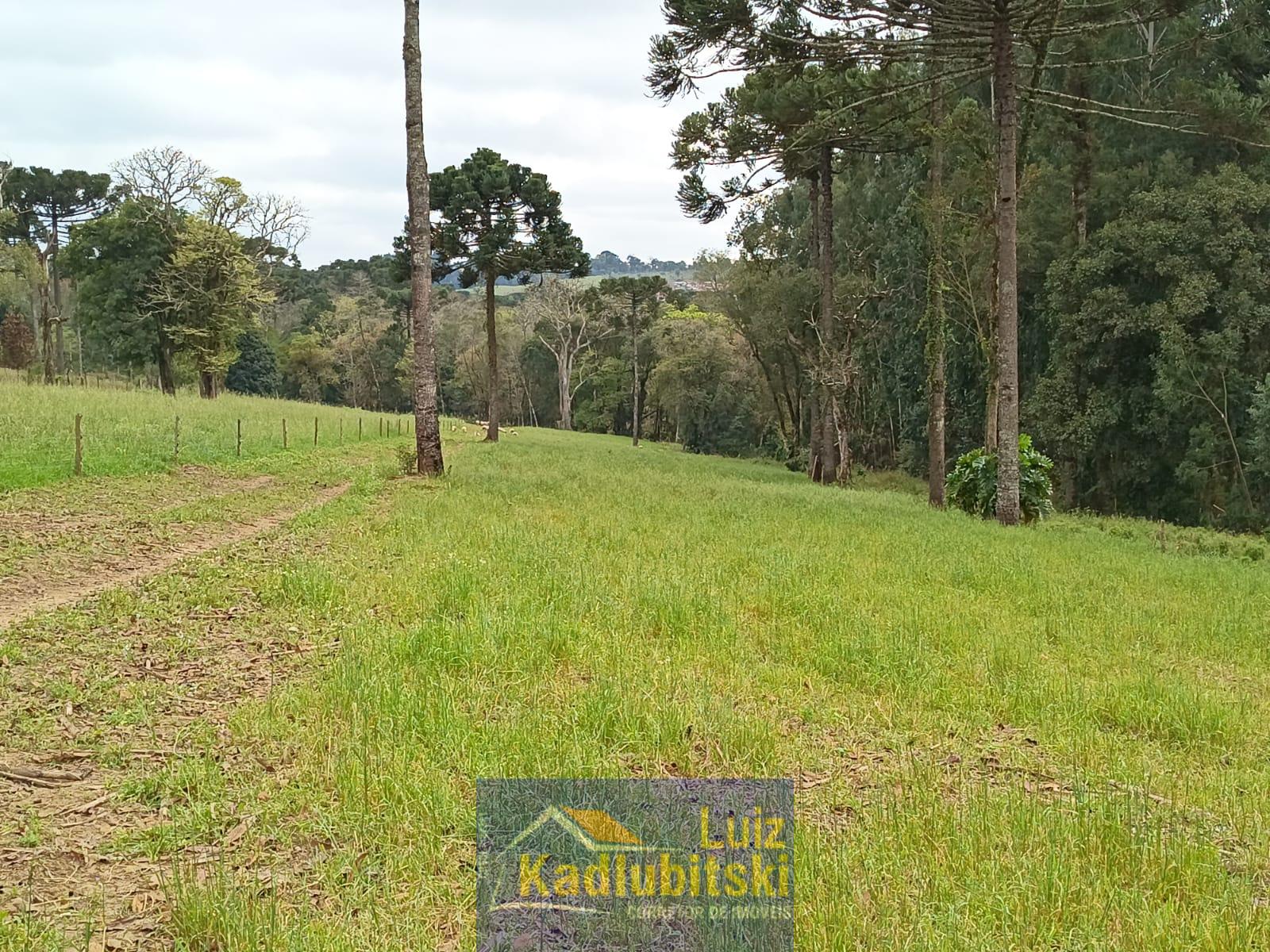 Terreno para Chácara à venda, INTERIOR, PRUDENTOPOLIS - PR