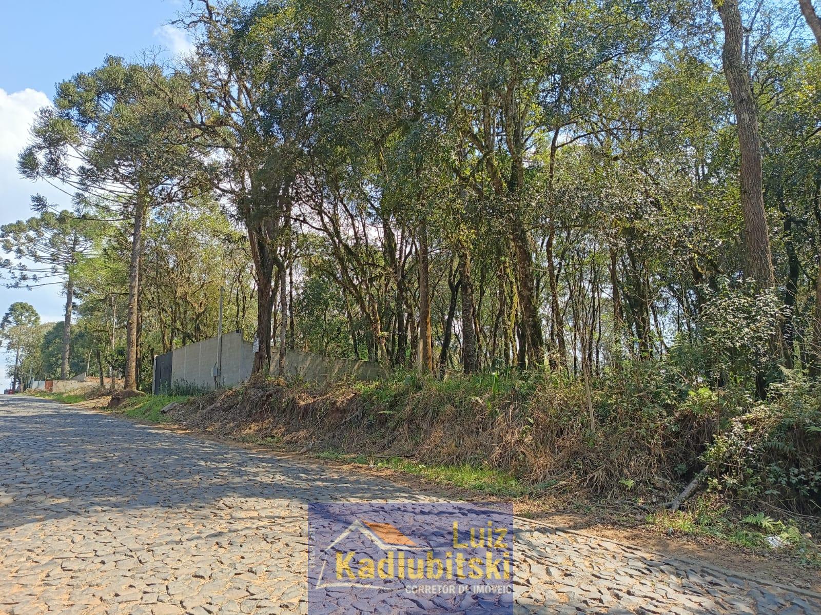 Lote à venda proximo a cidade, INTERIOR, PRUDENTOPOLIS - PR