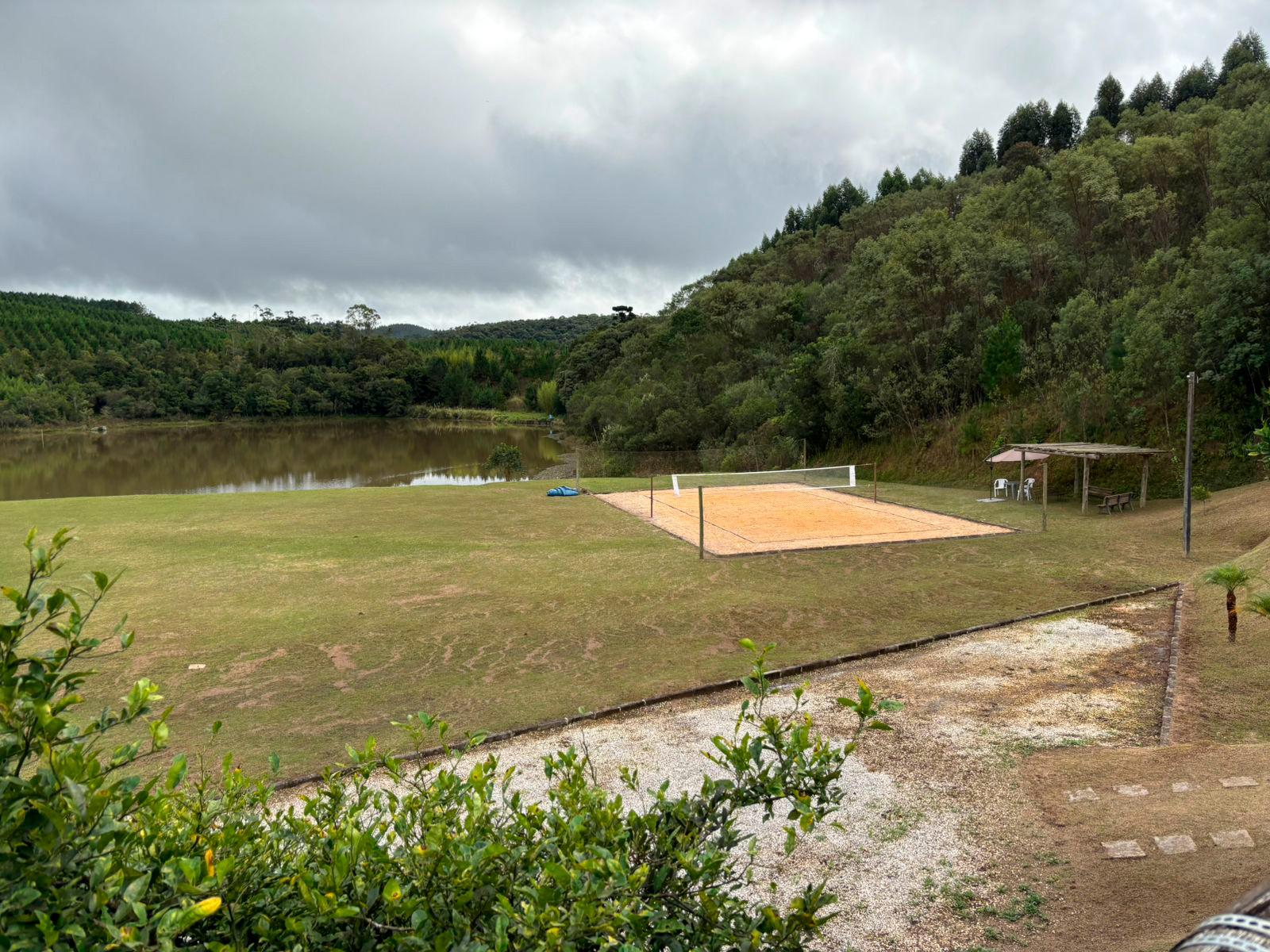 Fazenda com 77,95 Hectares, Casa com Piscina e R  2 Milhões em...