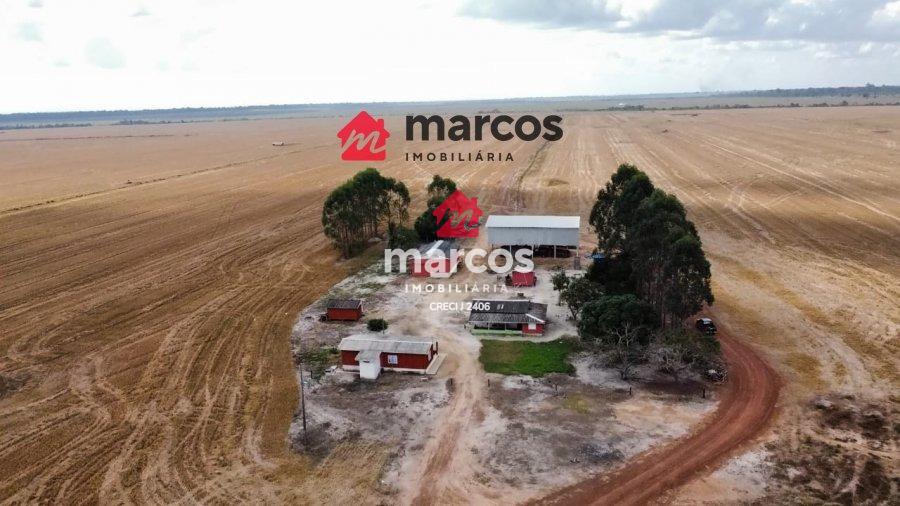 FAZENDA VALE DO GUAPOR?, 304.92 hectares, plantado 100 