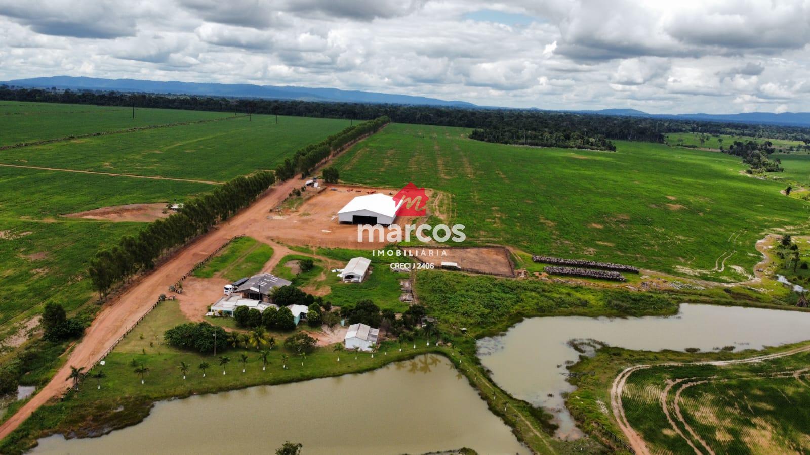 FAZENDA À VENDA EM RONDÔNIA COM 1912 HA, E QUATRO CASAS